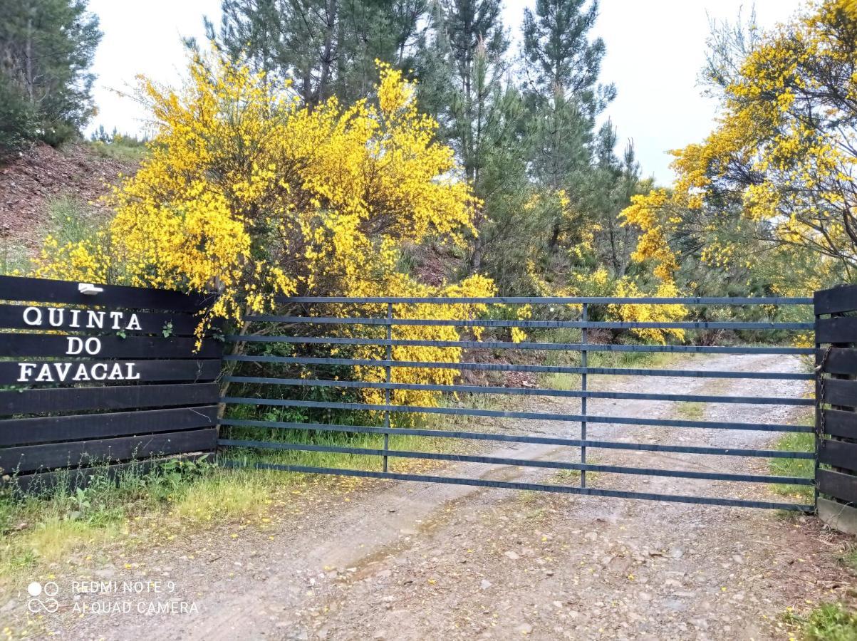 Quinta Do Favacal - Agroturismo - Serra Da Estrela Casegas Exterior foto