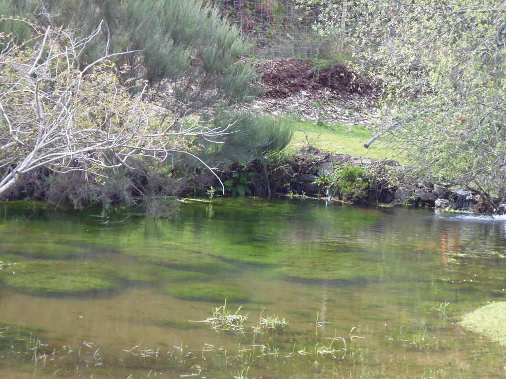 Quinta Do Favacal - Agroturismo - Serra Da Estrela Casegas Exterior foto