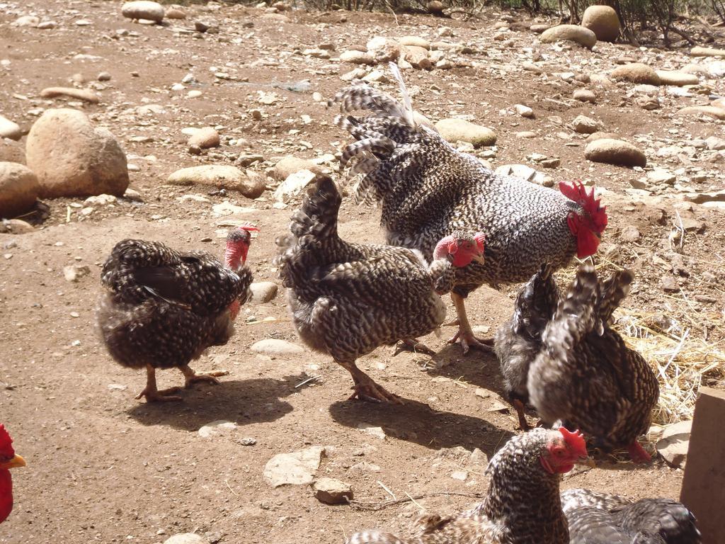Quinta Do Favacal - Agroturismo - Serra Da Estrela Casegas Exterior foto