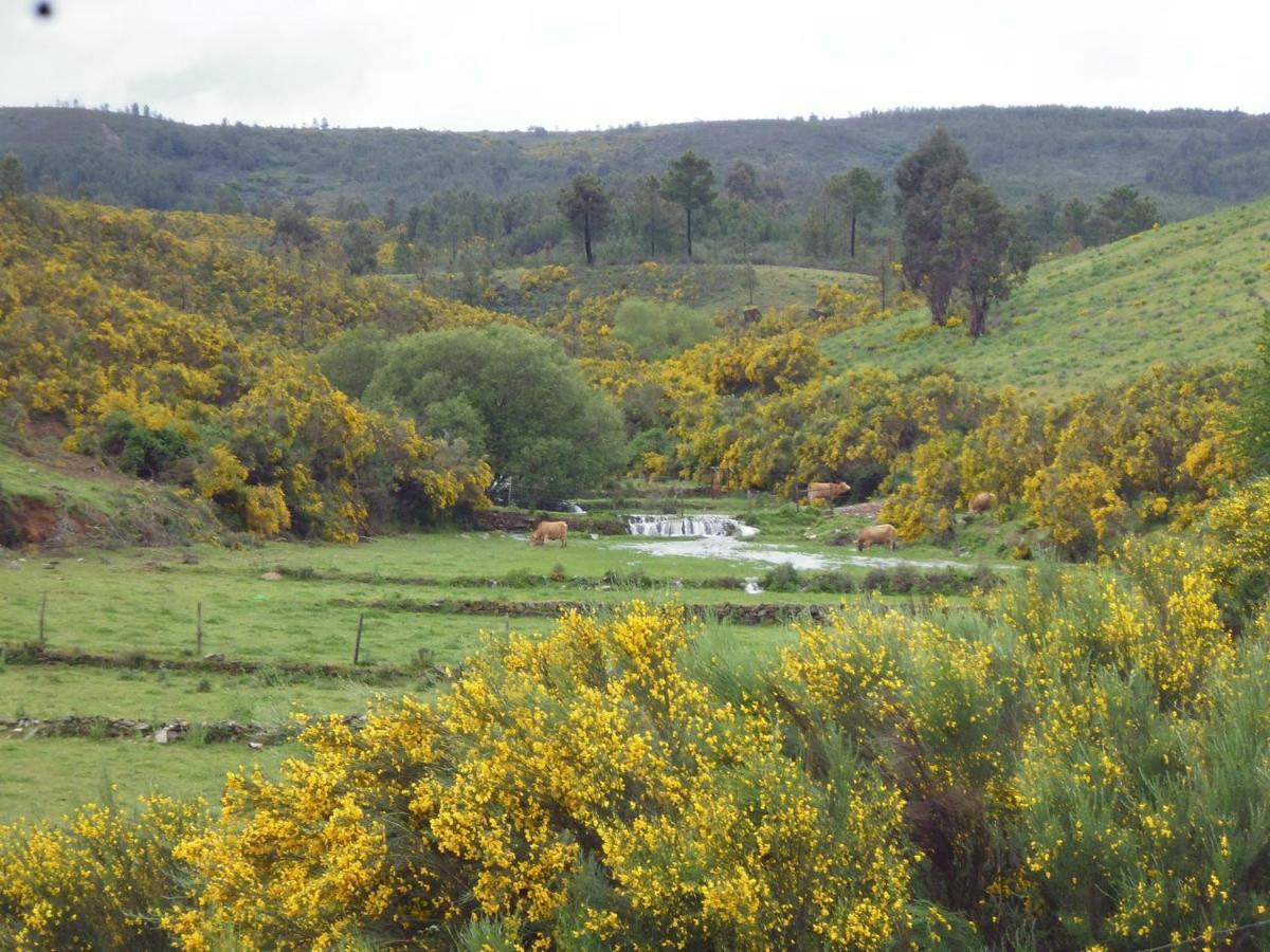 Quinta Do Favacal - Agroturismo - Serra Da Estrela Casegas Exterior foto